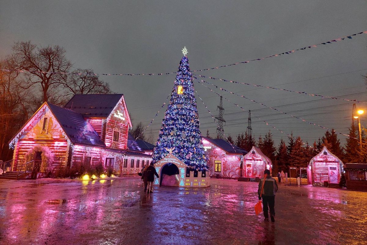 Новогодняя программа в усадьбе Деда Мороза в Кузьминках Для школьных групп