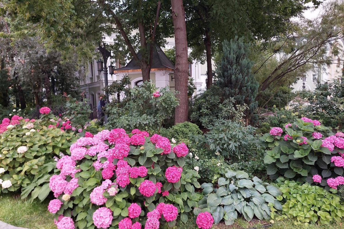 Пешеходная экскурсия Монастыри Белого города Высоко-Петровский – Рождественский- Сретенский