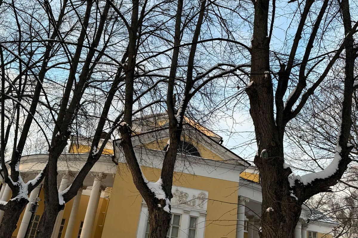 Рождественский бал в усадьбе Люблино. Для школьников (5-8 класс)