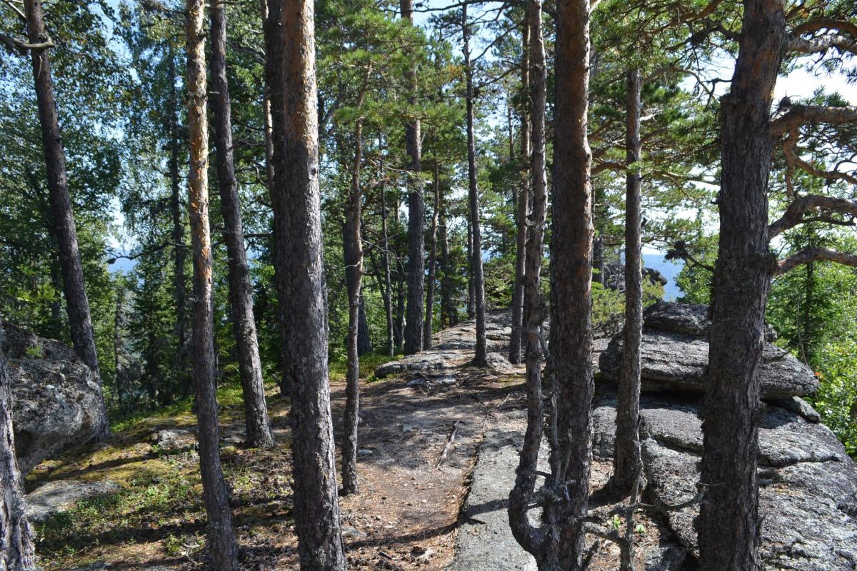 Амбарчики