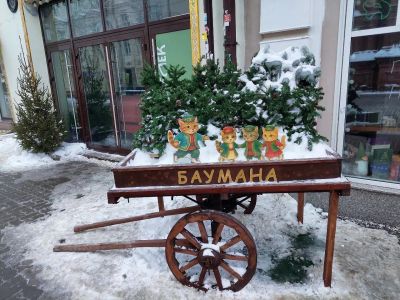 Казань-Свияжск. 3 дня. Школьники.