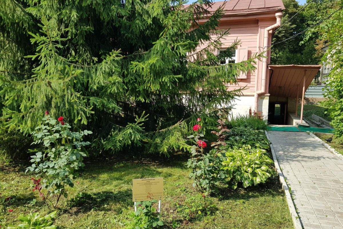 Литературная Тула. Однодневная экскурсия для групп
