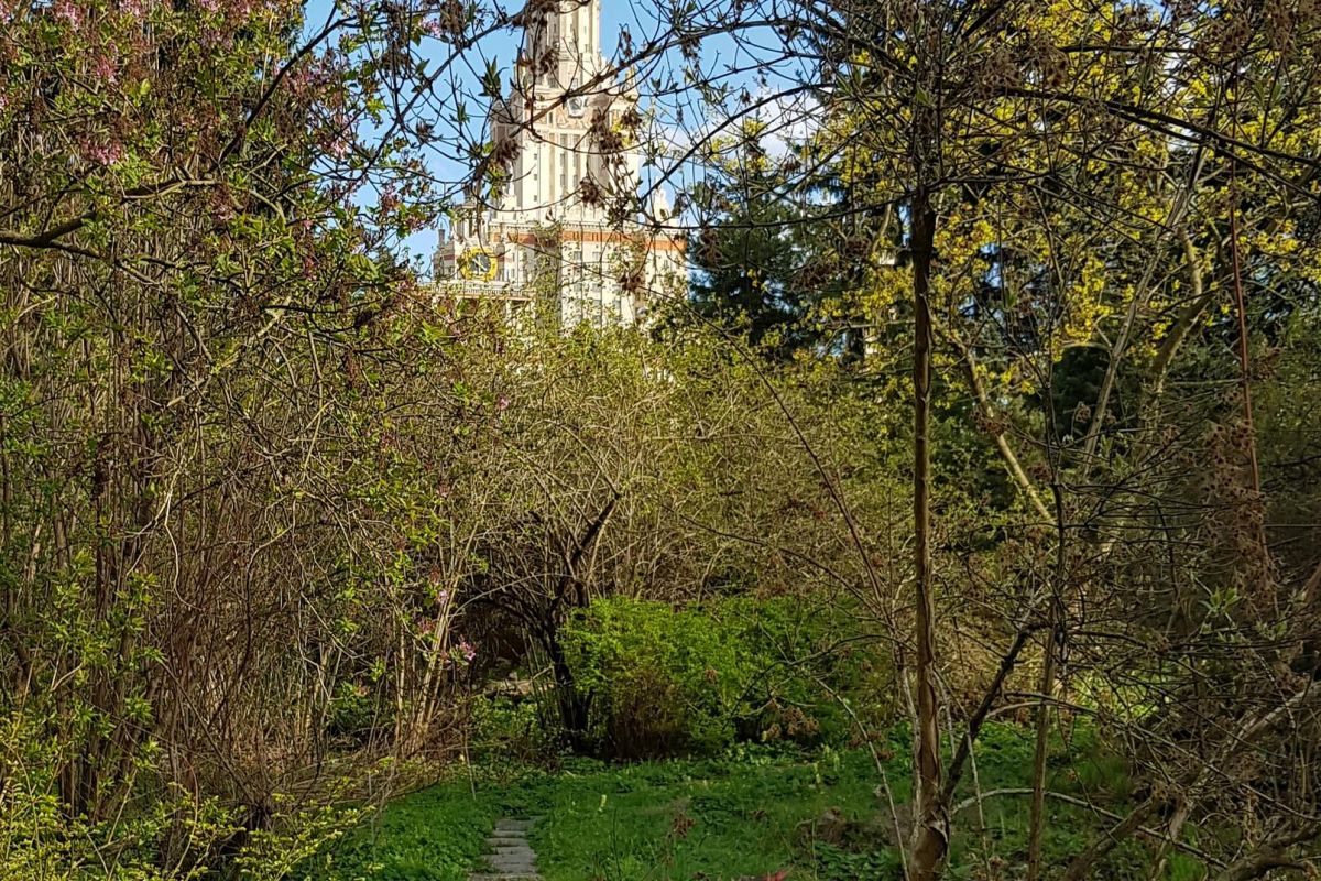 Экскурсионный тур для школьников «Москва. Лето. Новая География»