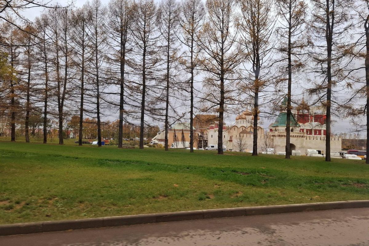 Прием в Москве. Москино – фабрика грез