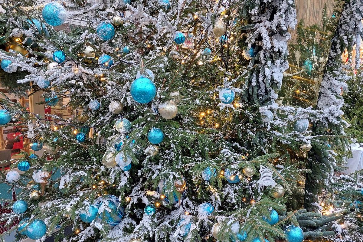 Огни Новогодней Москвы. 2 дня/1ночь