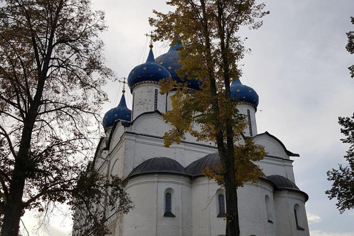 Владимир – Боголюбово – Суздаль.  Школьные группы