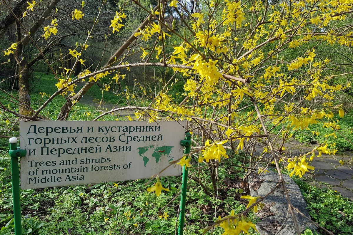 Экскурсионный тур для школьников «Москва. Лето. Новая География»
