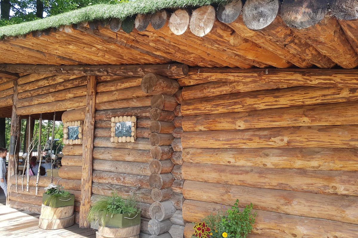 Музей техники Вадима Задорожного. Школьники