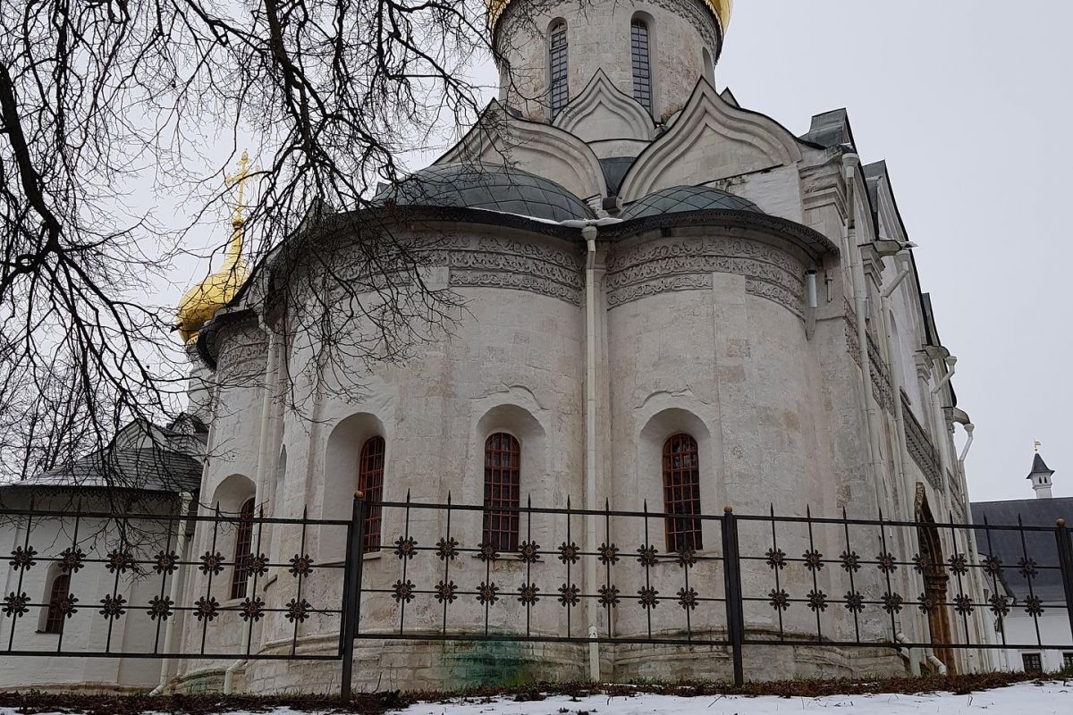 «Один день в Звенигороде». Организованная группа
