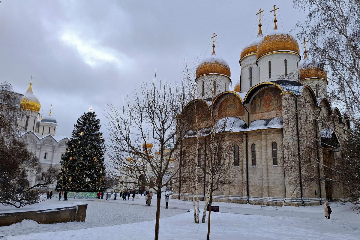 Огни Новогодней Москвы. 2 дня/1ночь