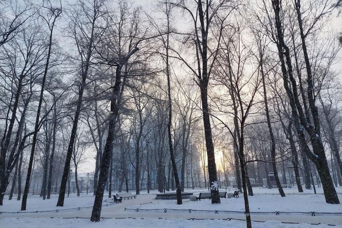 Зимние каникулы в Санкт-Петербурге.