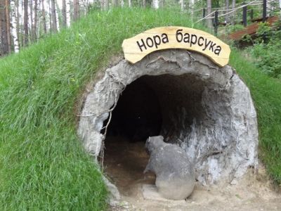 Национальный парк «Лосиный остров» для школьных групп