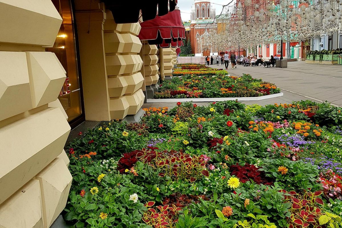 Московские открытия