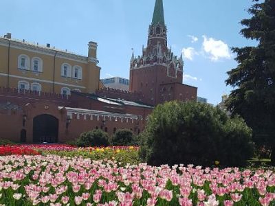 Летние чудеса Москвы.  С программой в Коломенском 2 дня/ 1 ночь Для старшеклассников