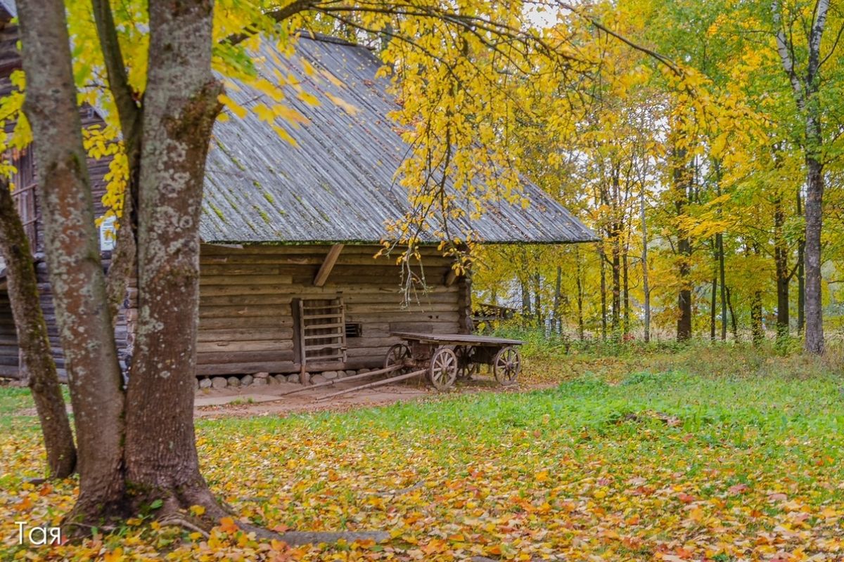 САМЫЕ РУССКИЕ ГОРОДА. Великий Новгород-Старая Русса 2д./1н.