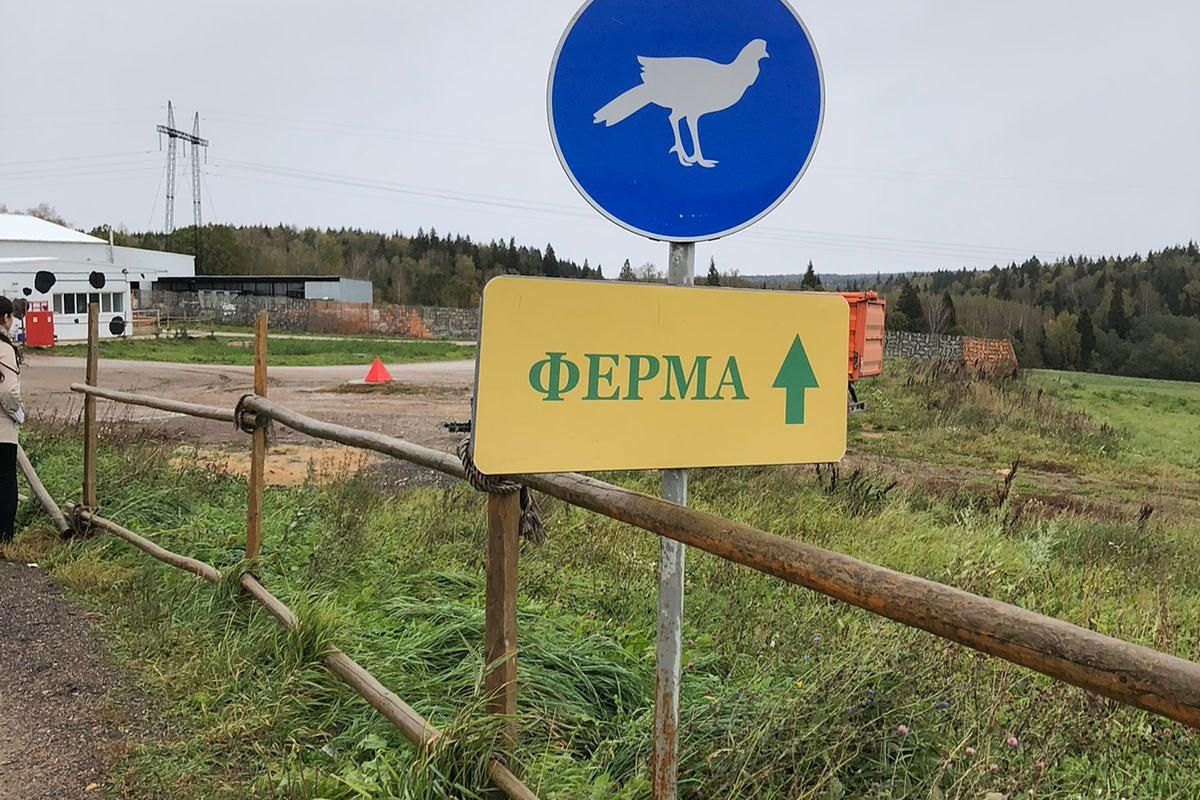 Новый Иерусалим – сыроварня Олега Сироты