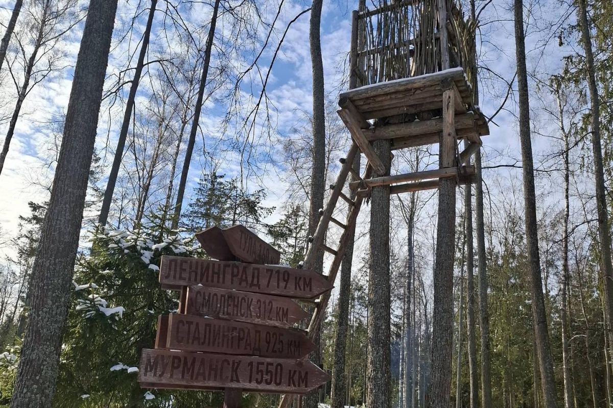 Москва патриотическая. Для группы школьников.