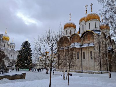 Новогоднее путешествие в Москву